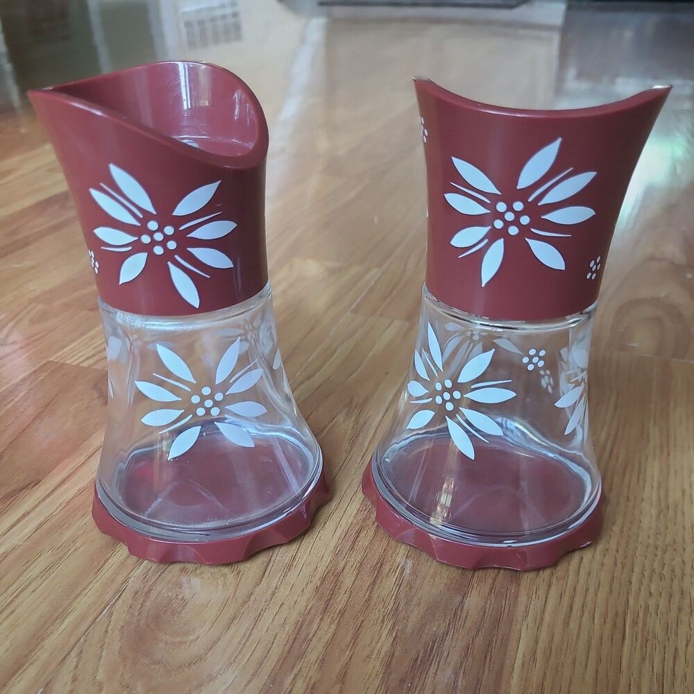 Temptations Burgundy Etched Salt and Pepper Set of 2